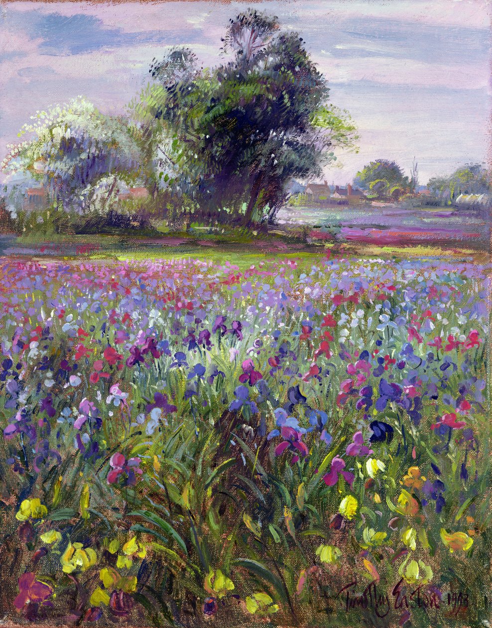 Irises and Distant May Tree, 1993 od Timothy Easton