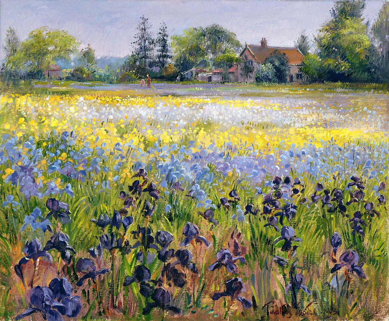 Kosatce a dvě jedle, 1993 od Timothy Easton