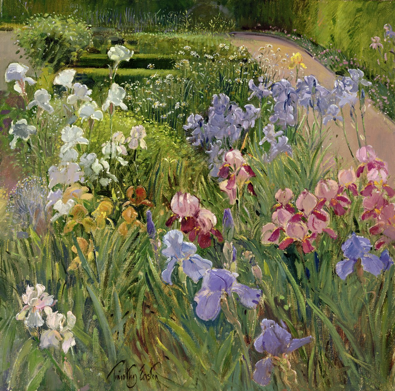 Kosatce v Bedfieldu od Timothy Easton
