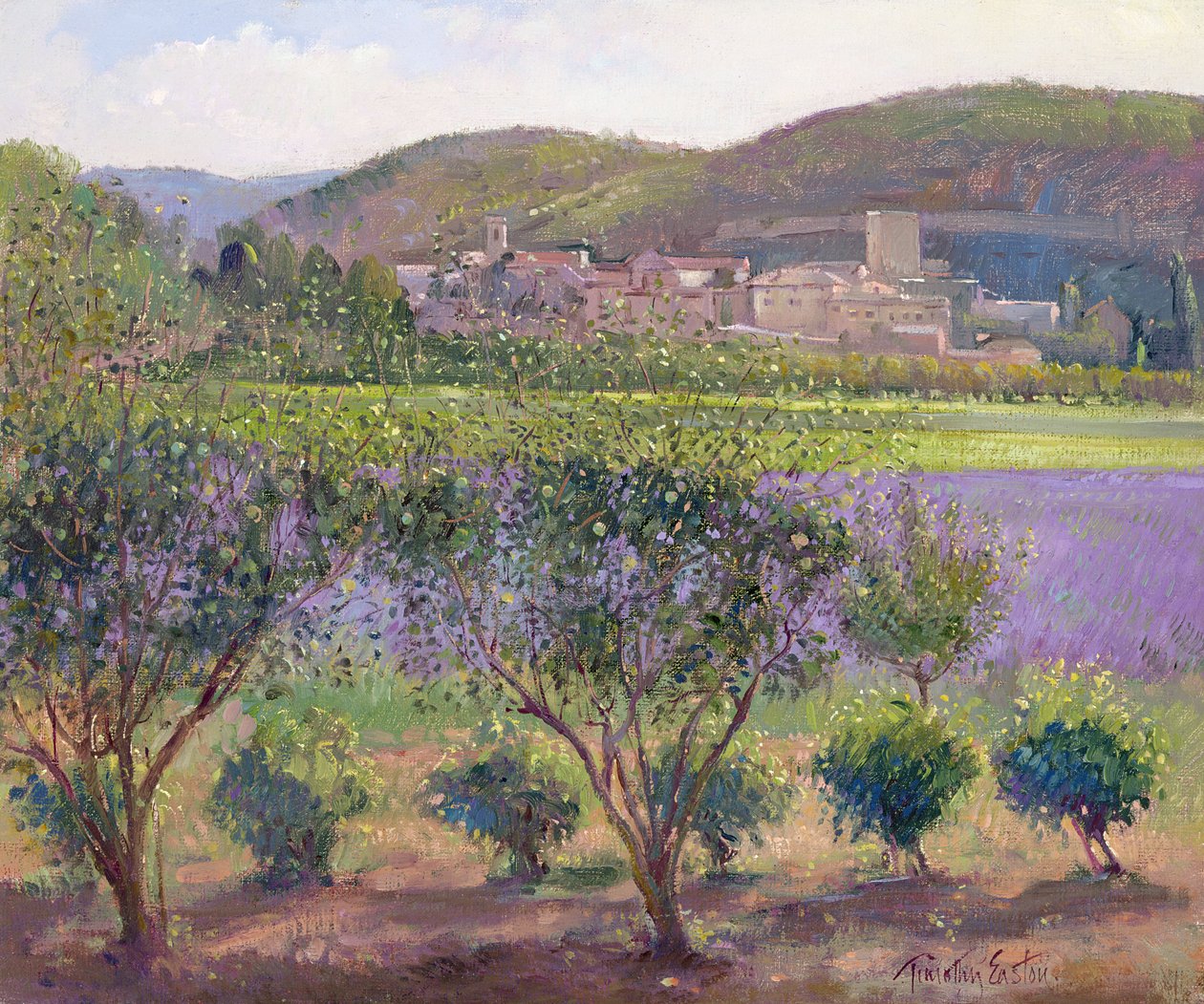 Levandule viděná přes kdoule, Monclus od Timothy Easton