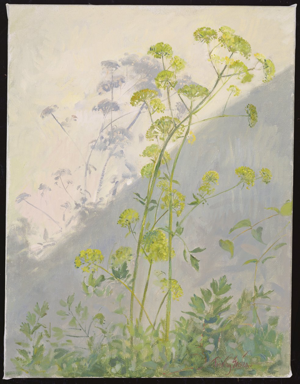 Lovage Against Diagonal Shadows, 1999 od Timothy Easton