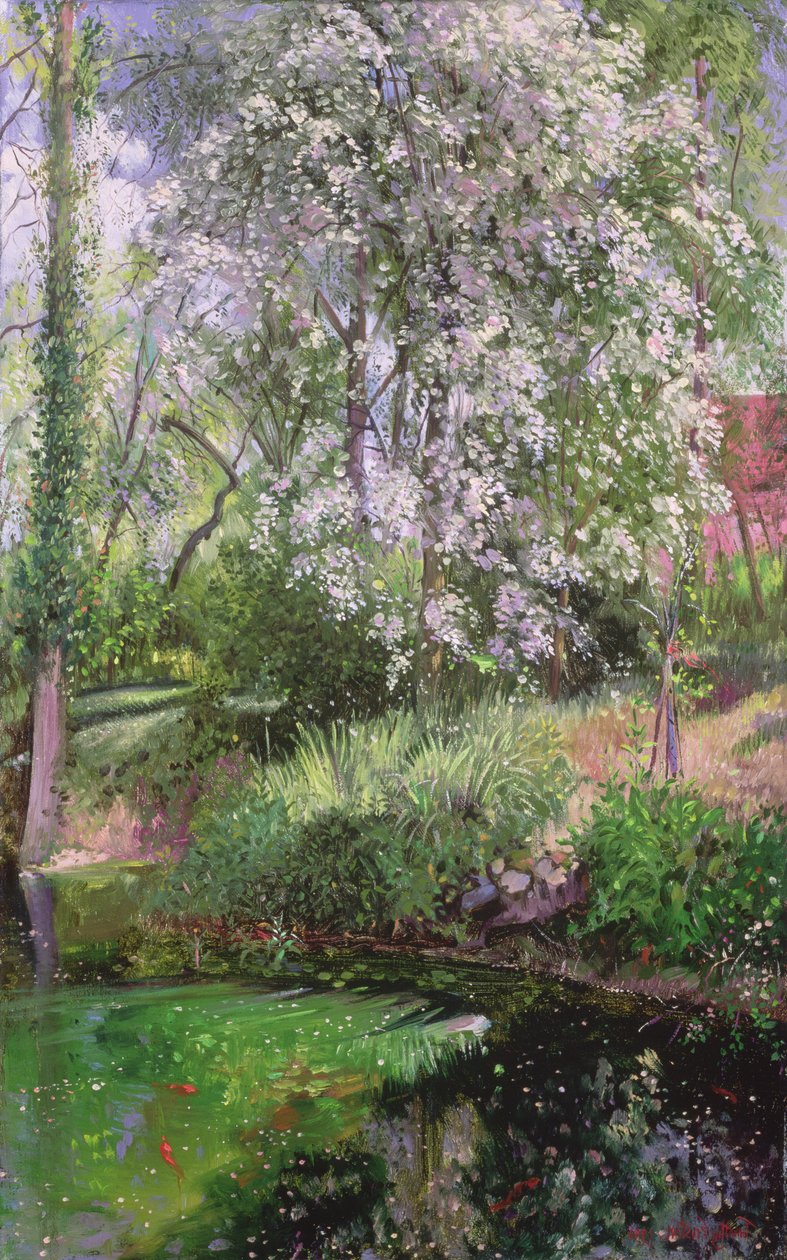 Květnové okvětní lístky na okraji příkopu od Timothy Easton