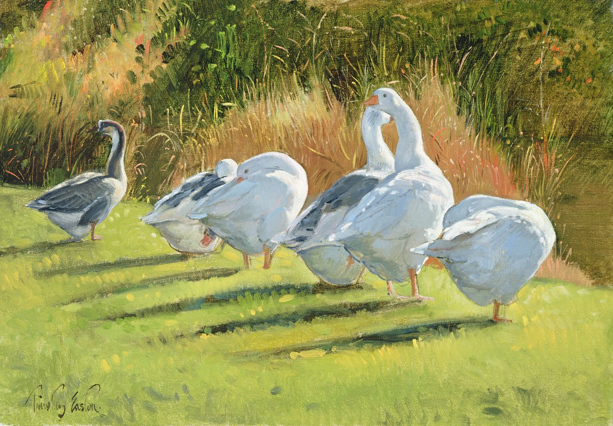 Moat Edge, Bedfield od Timothy Easton