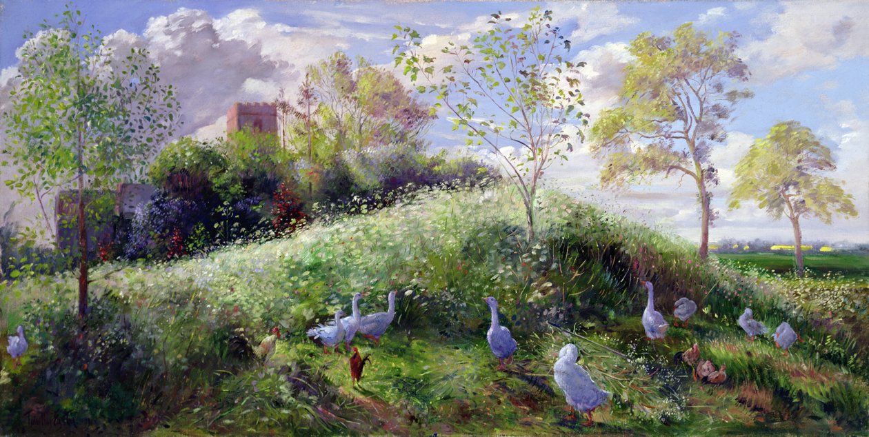 Mount v květnu od Timothy Easton