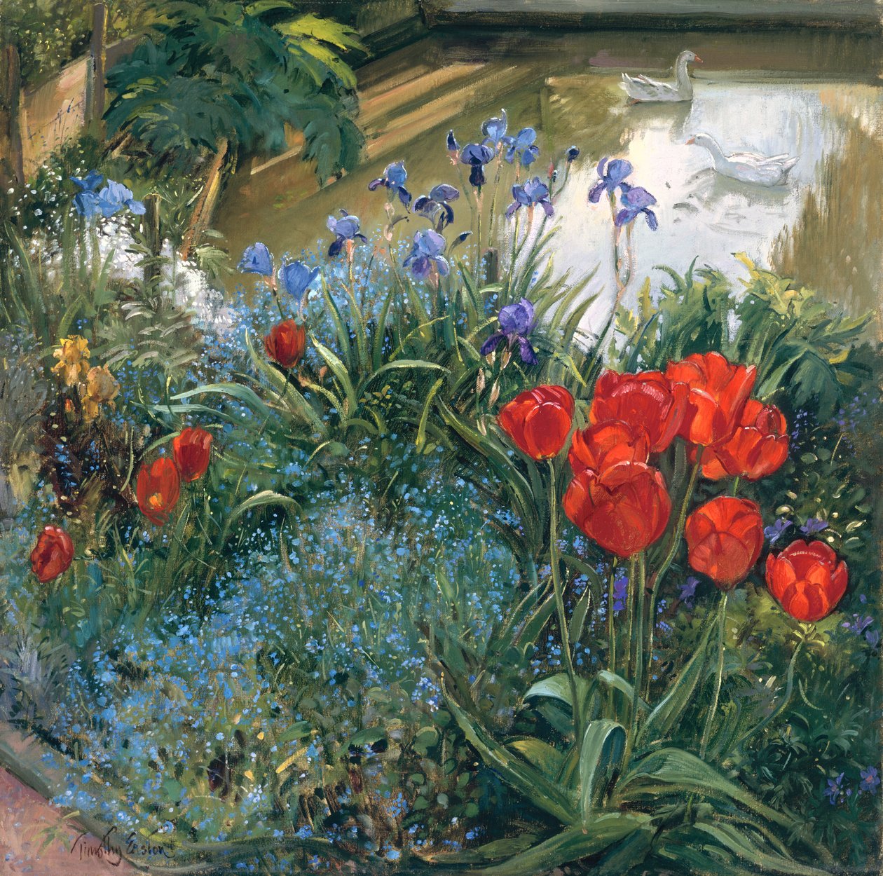 Červené tulipány a husy od Timothy Easton