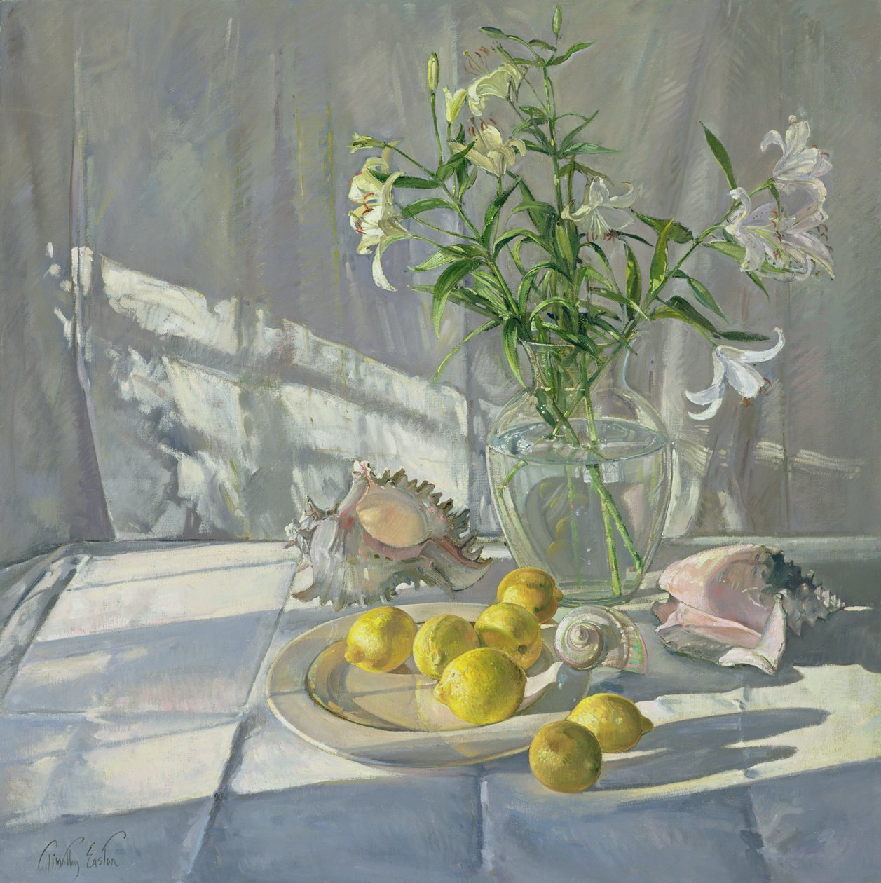 Odrazy a stíny od Timothy Easton