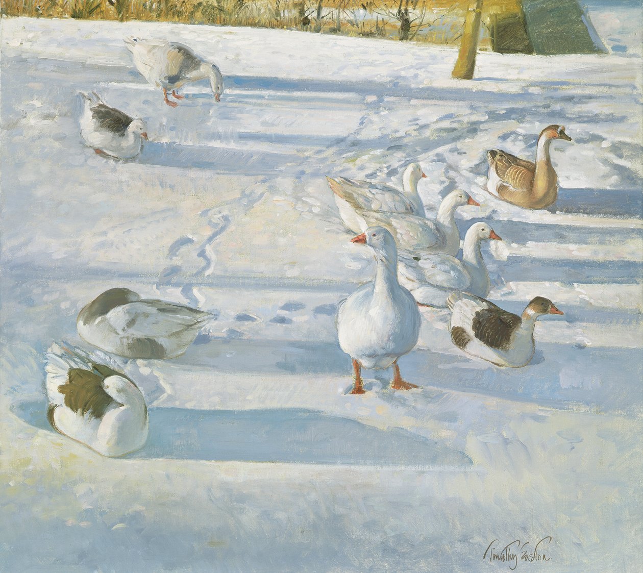 Odpočinek na svahu od Timothy Easton