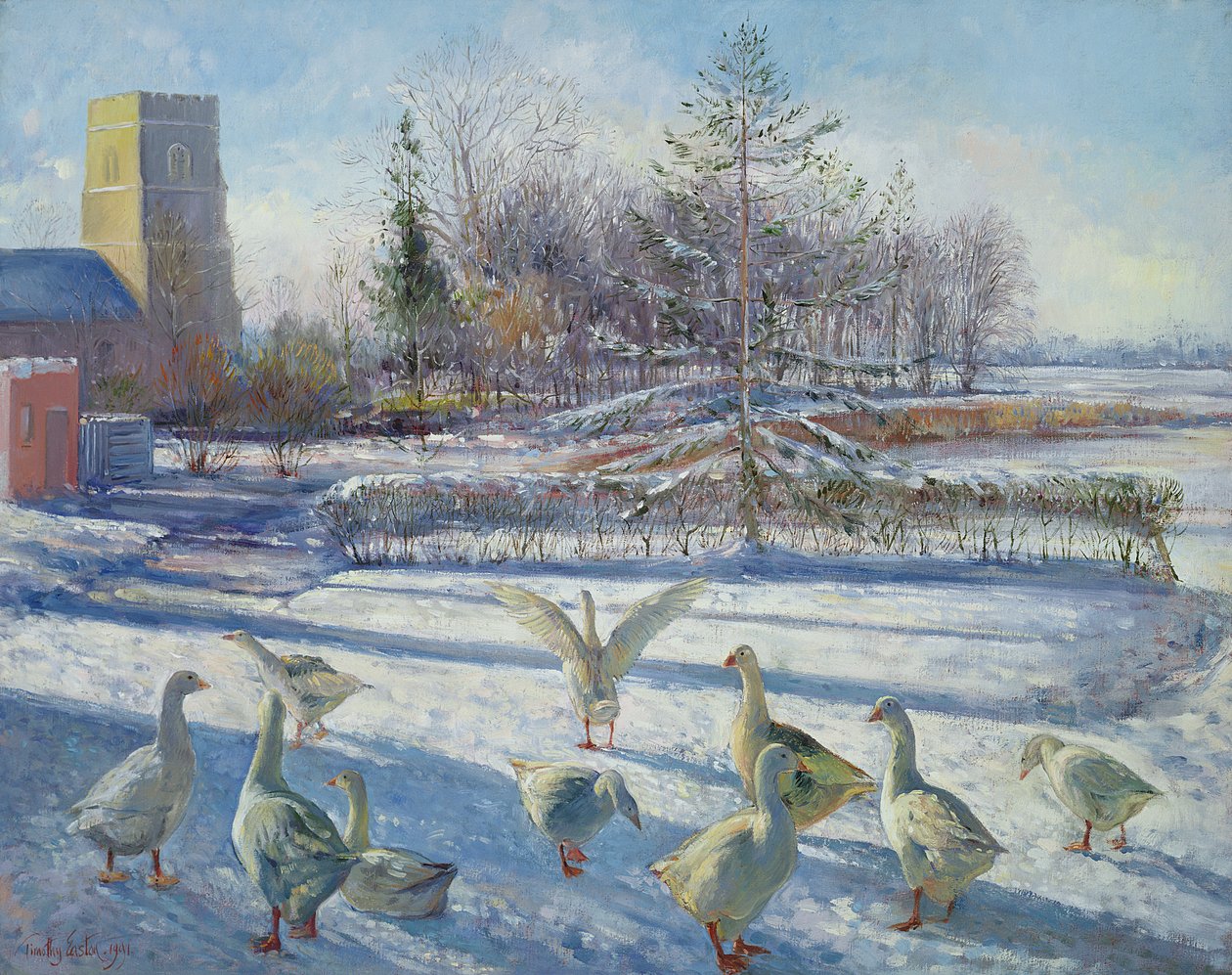 Sněžné husy, zimní ráno od Timothy Easton