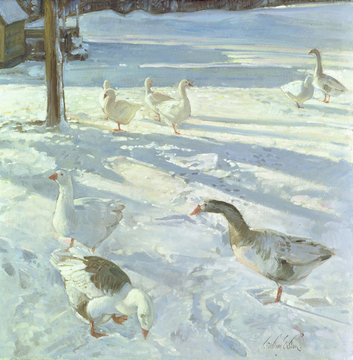 Snowfeeders, 1999 od Timothy Easton