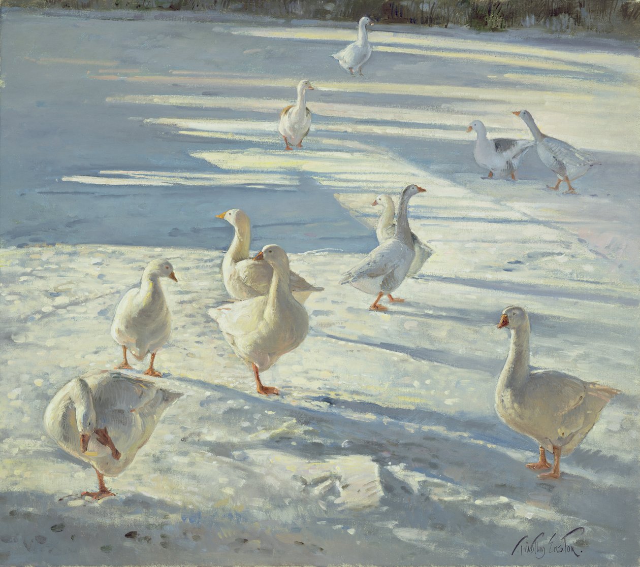 Setkání od Timothy Easton