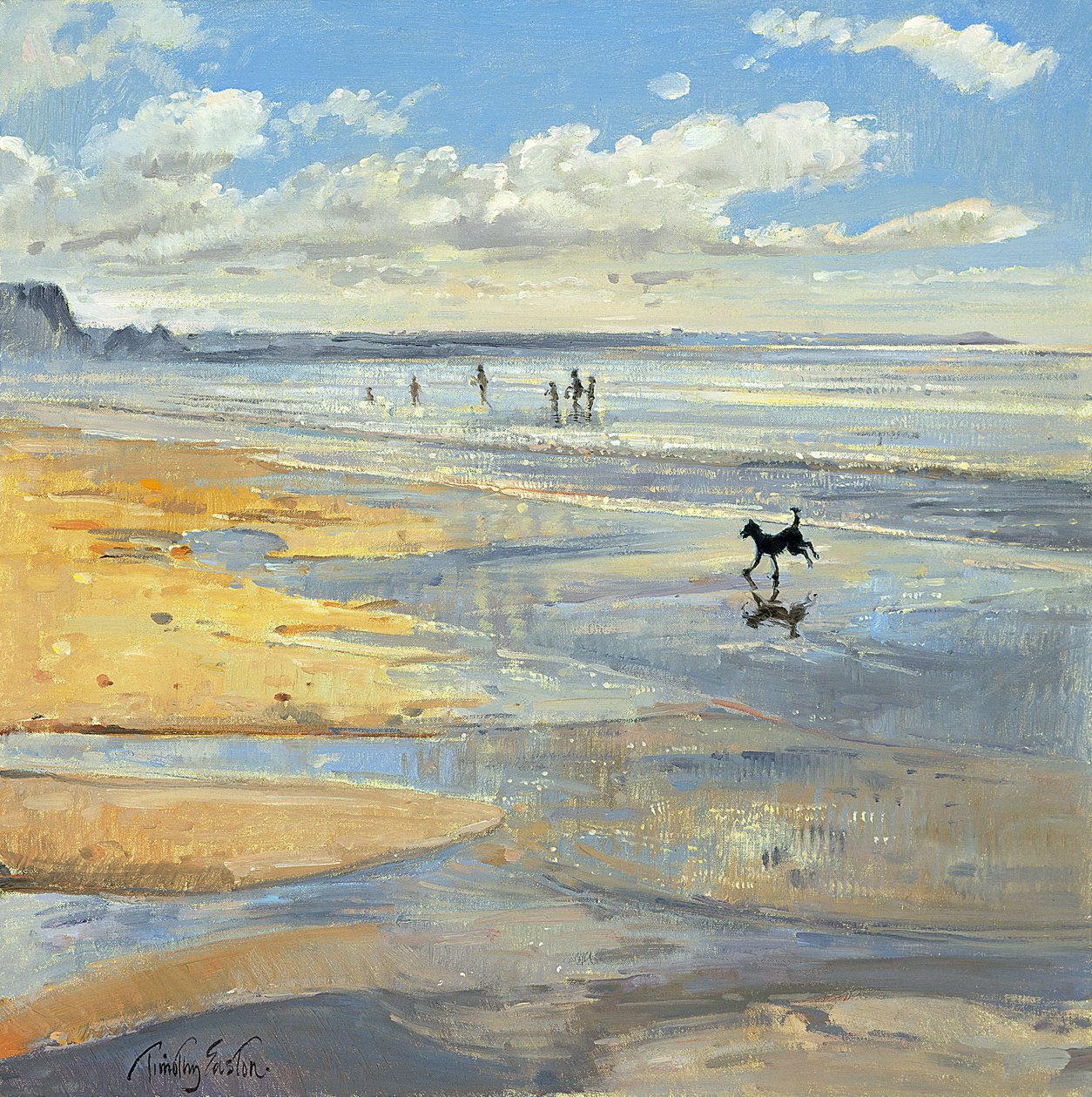 Malý akrobat od Timothy Easton