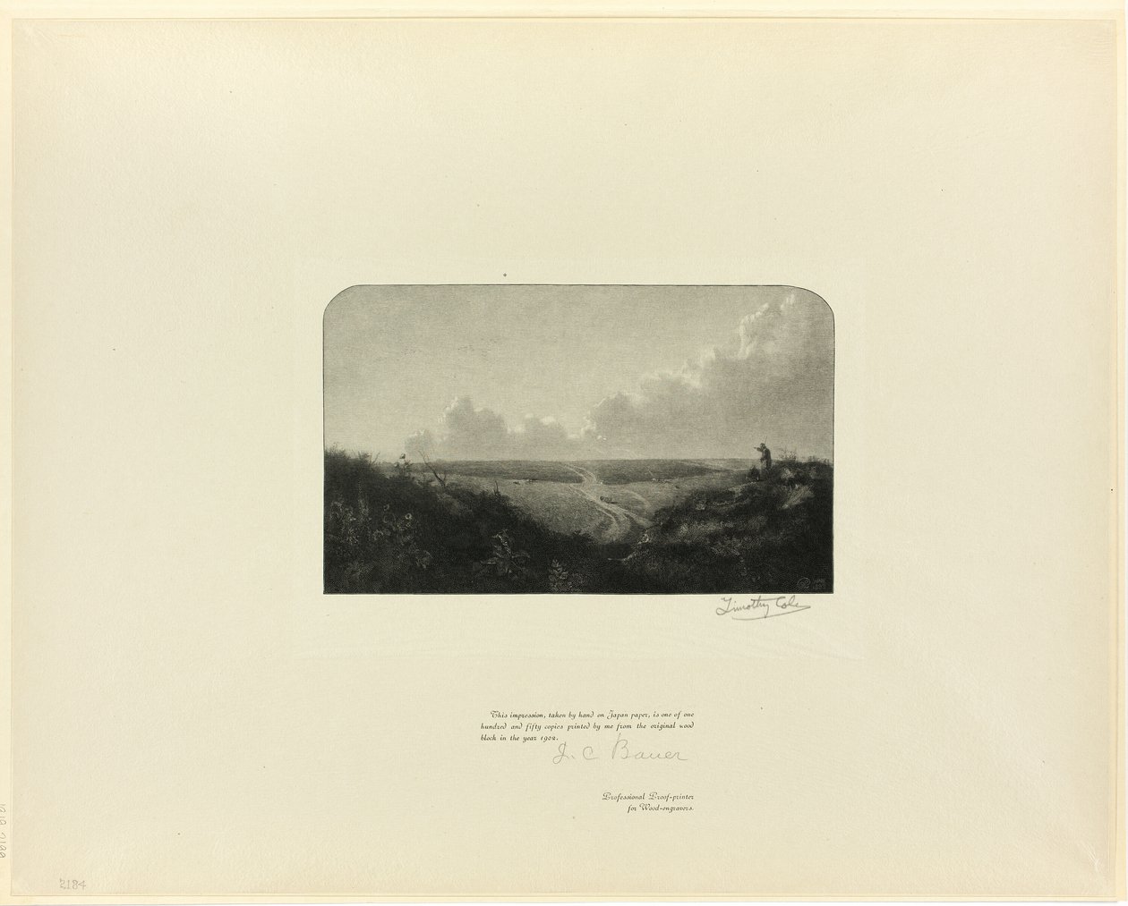Mousehold Heath, ze starých anglických mistrů od Timothy Cole