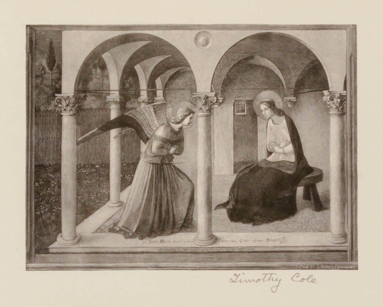 Staří italští mistři od Timothy Cole