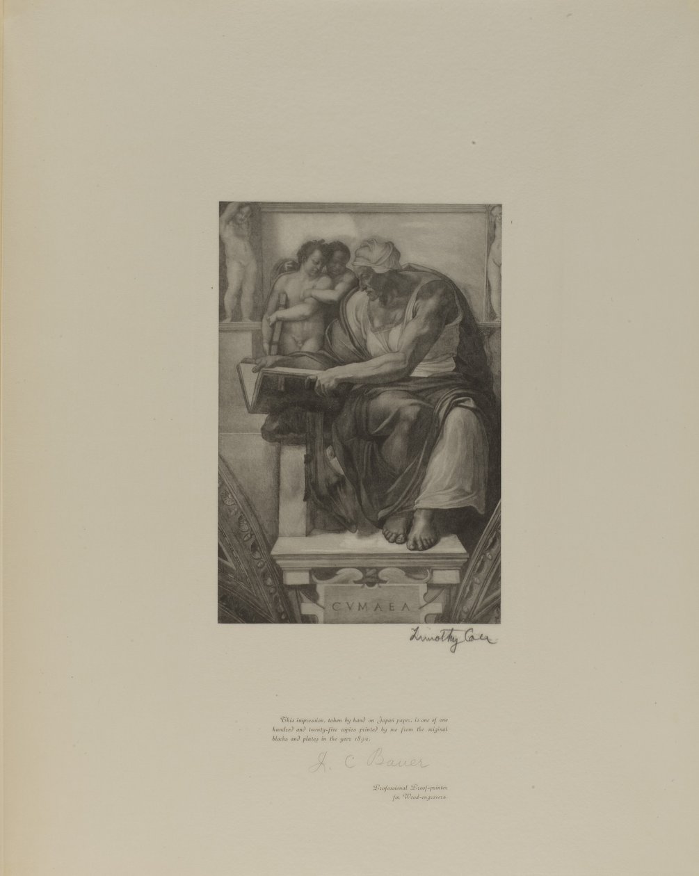 Staří italští mistři od Timothy Cole