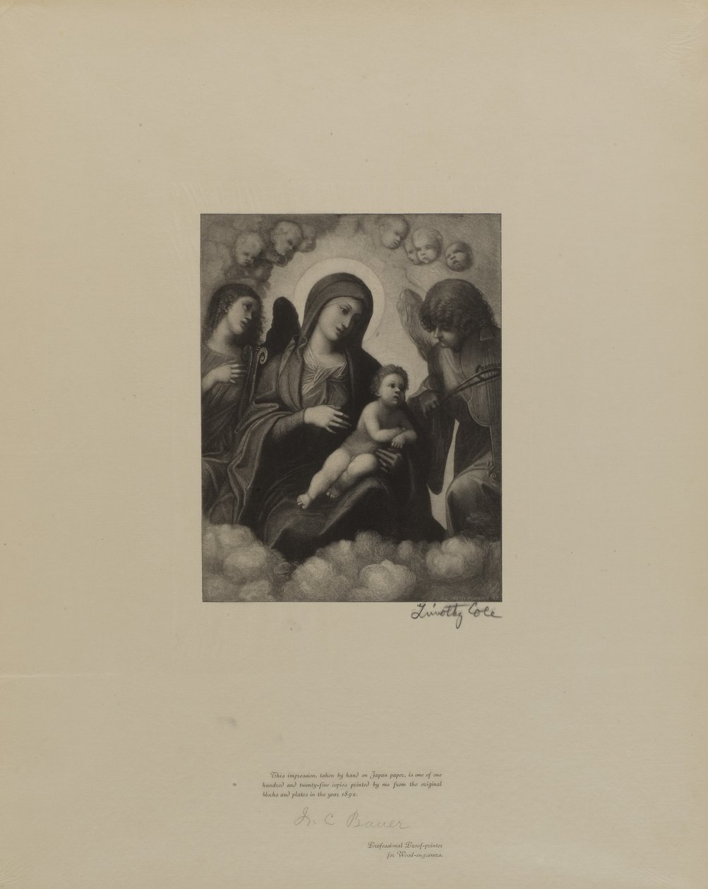 Staří italští mistři od Timothy Cole