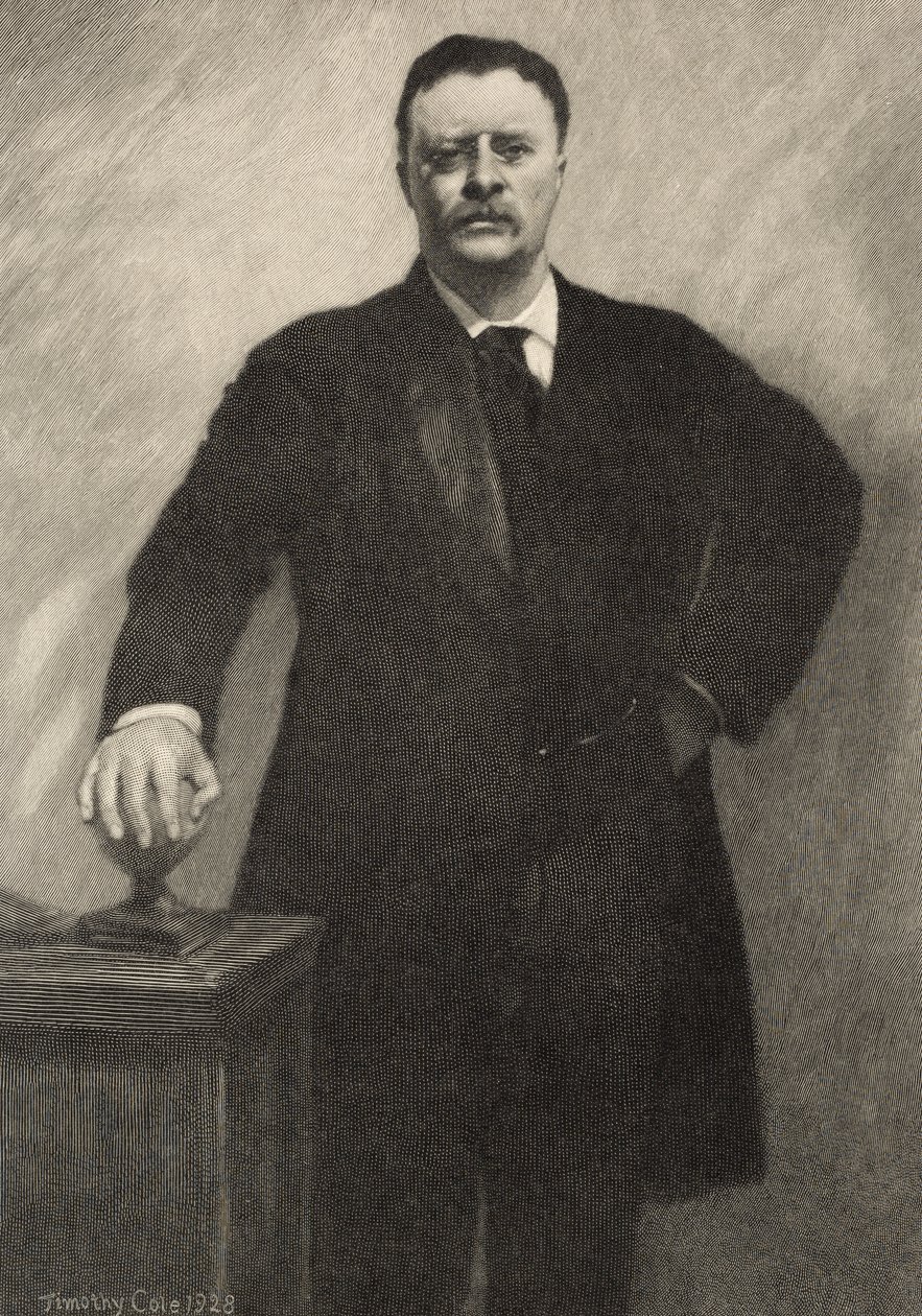 Theodore Roosevelt, 1928 od Timothy Cole
