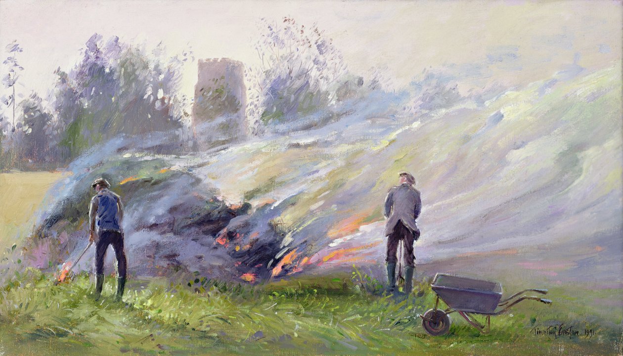 Podzimní oheň od Timothy Easton