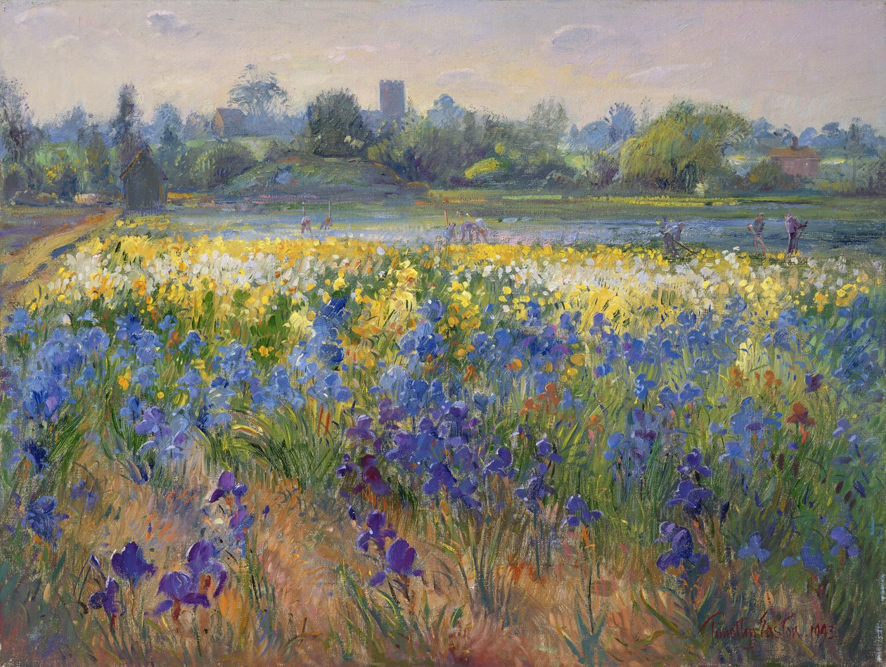 Blue Haze at Burgate, 1993 od Timothy Easton