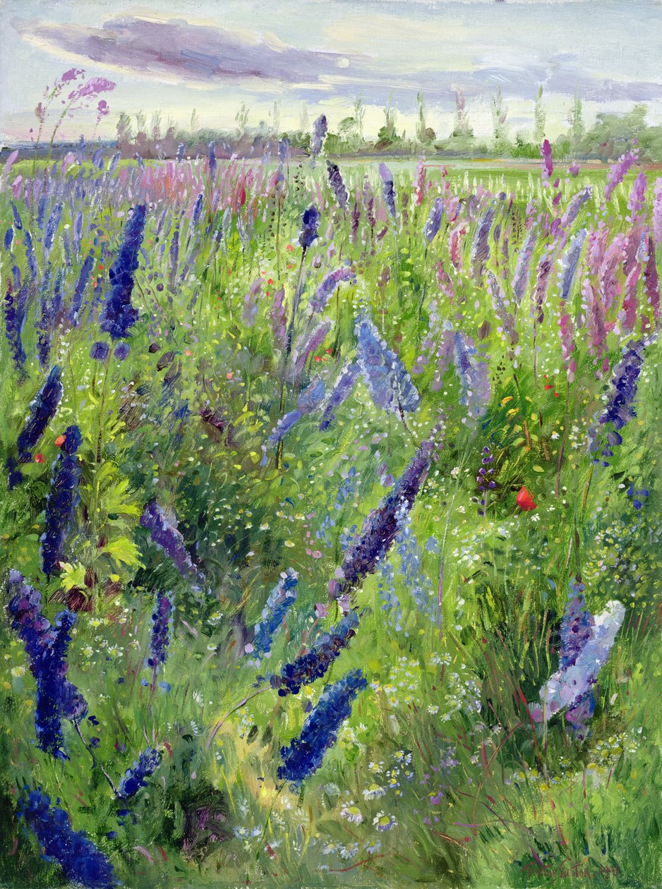 Delphiniums a vycházející slunce od Timothy Easton