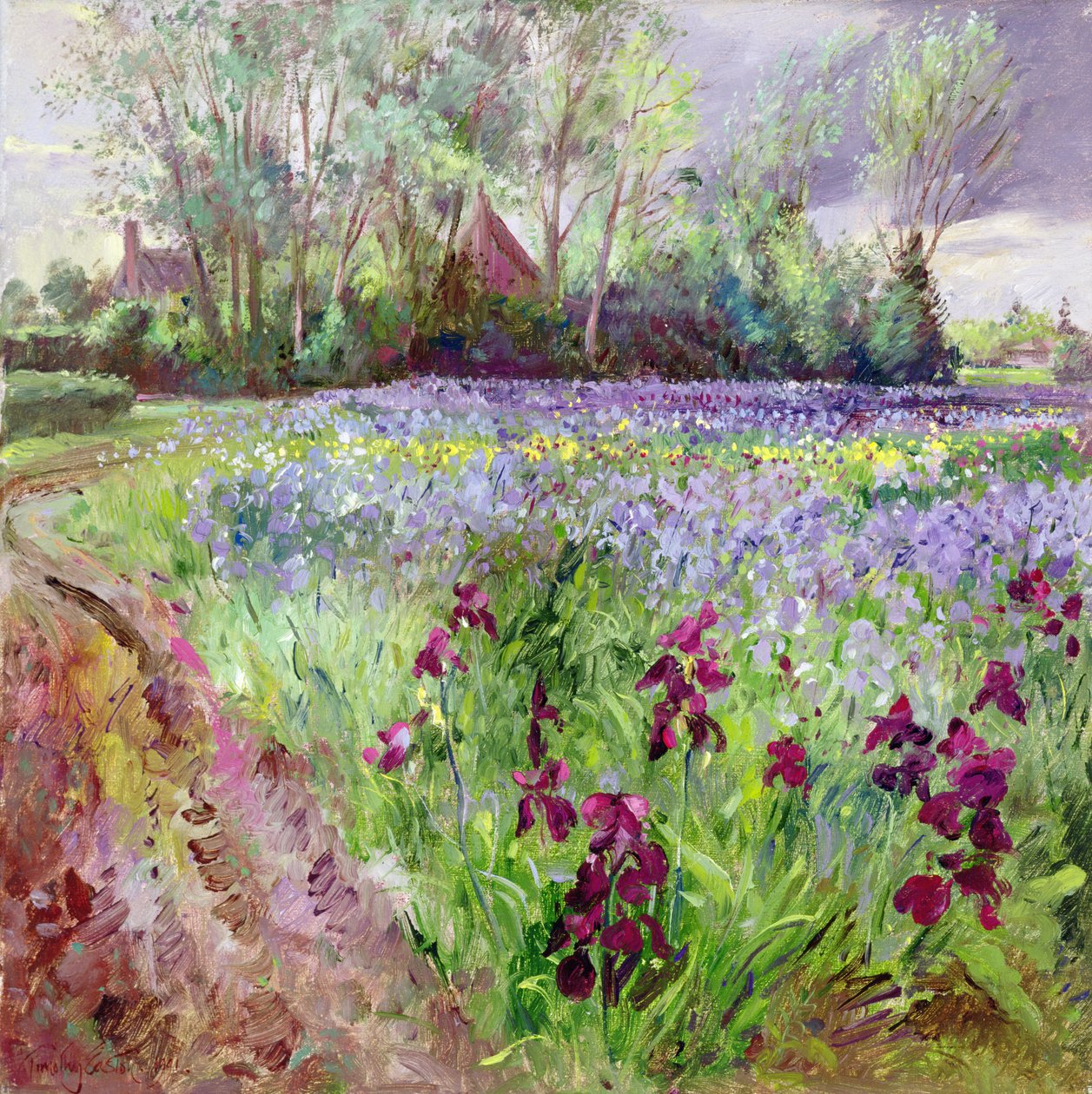 Iris Field, Storm Gathering od Timothy Easton