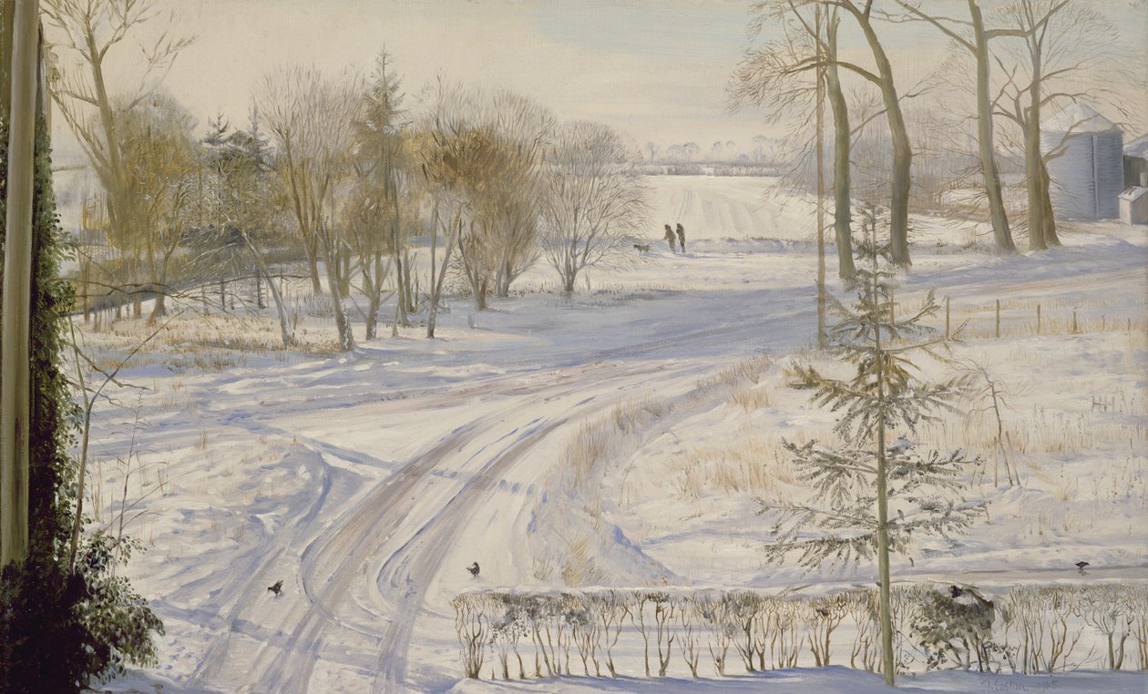 Moorhens Hledání od Timothy Easton