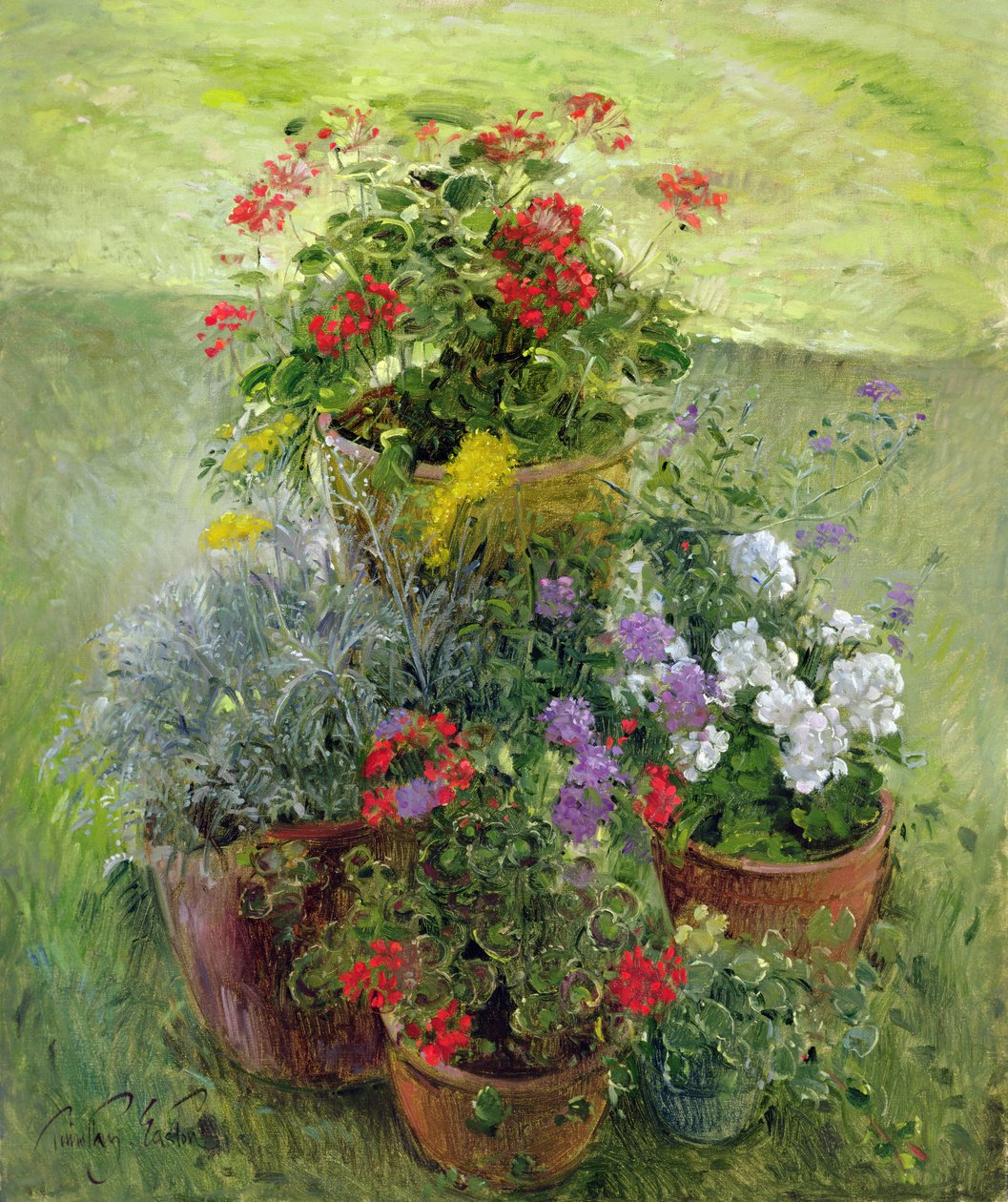 Stínované hrnce (olej na plátně) od Timothy Easton