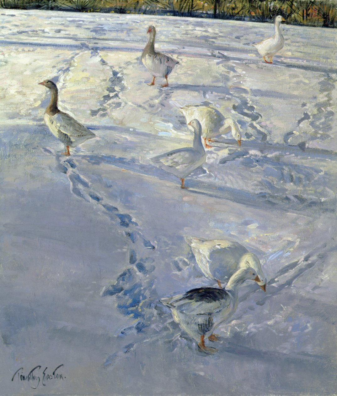 Shadows and Trackways (olej na plátně) od Timothy Easton