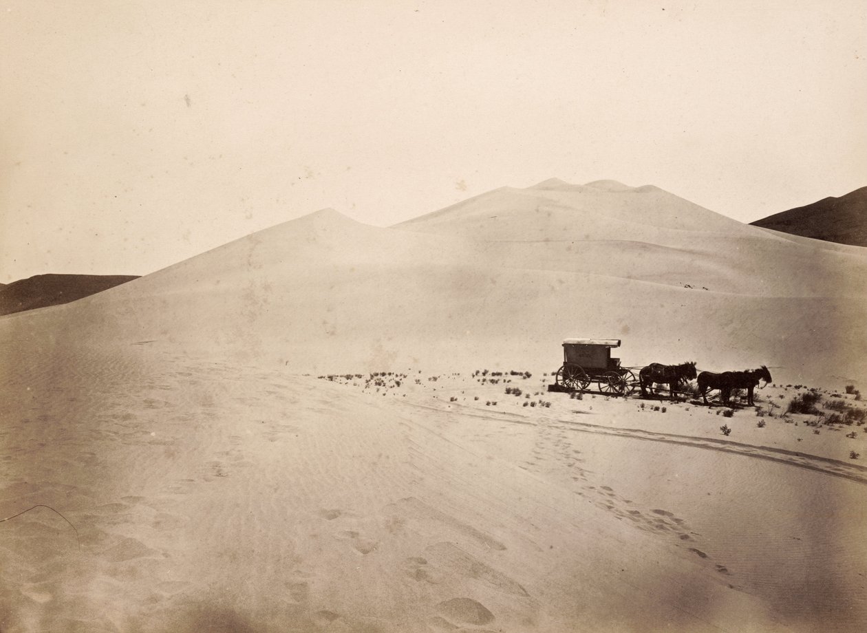 Písečné duny, Carsonova poušť, Nevada od Timothy H. O