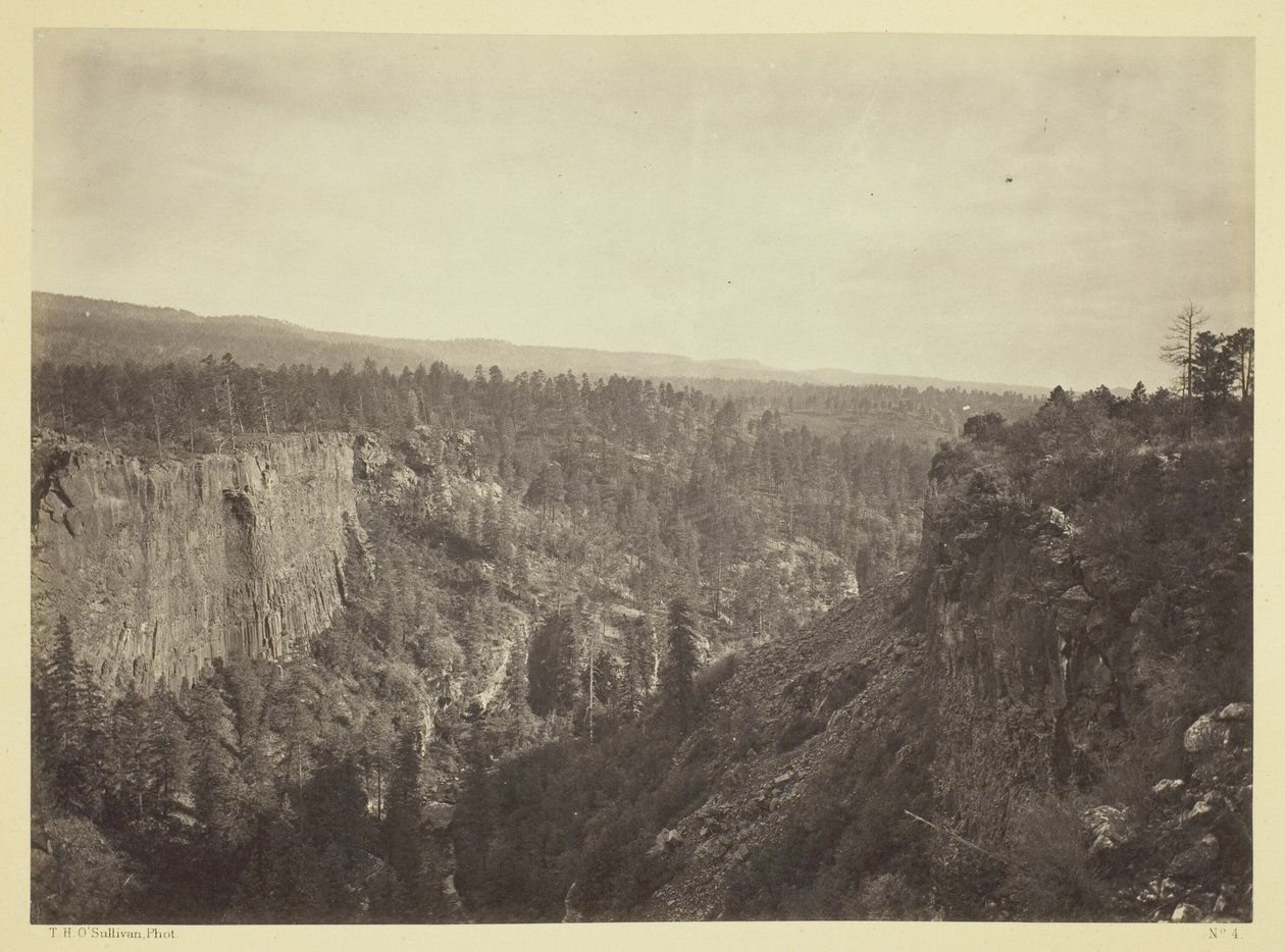 North Fork Cañon, Sierra Blanca Creek, Arizona od Timothy O