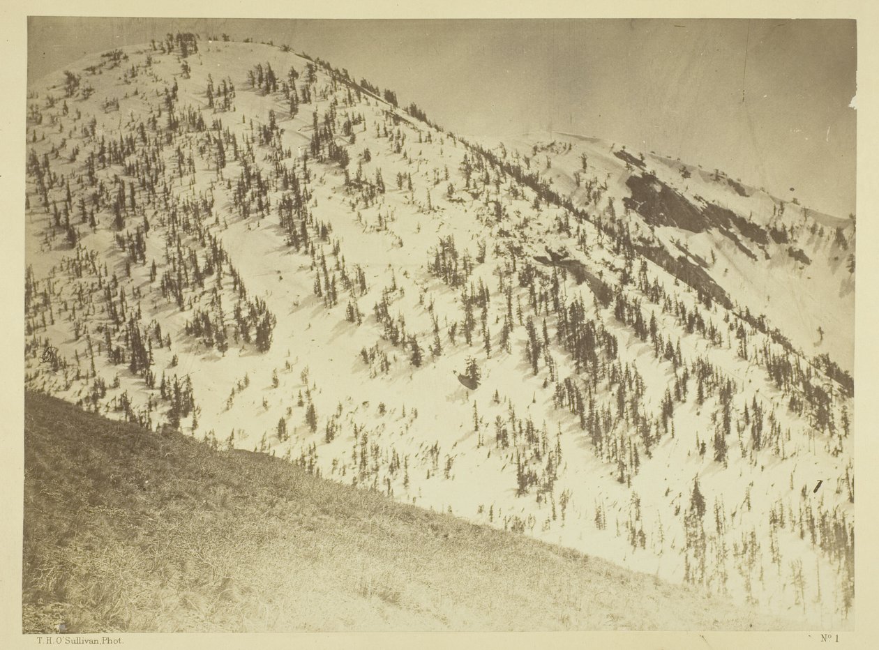 Snow Peaks, důlní revír Bull Run, Nevada od Timothy O