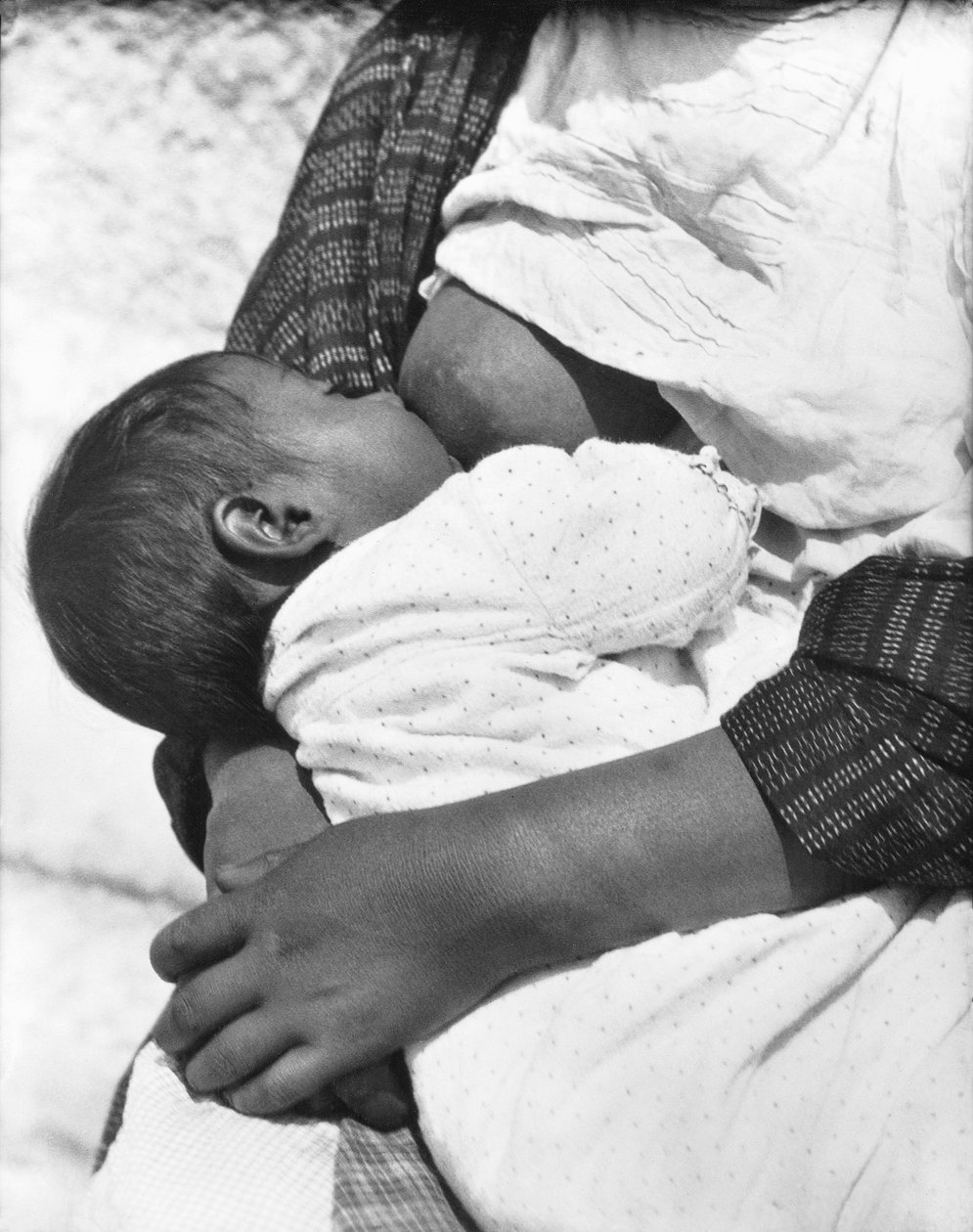 Kojení dětí (Conchita se svou matkou Luz Jimenez), Mexico City, 1926 od Tina Modotti