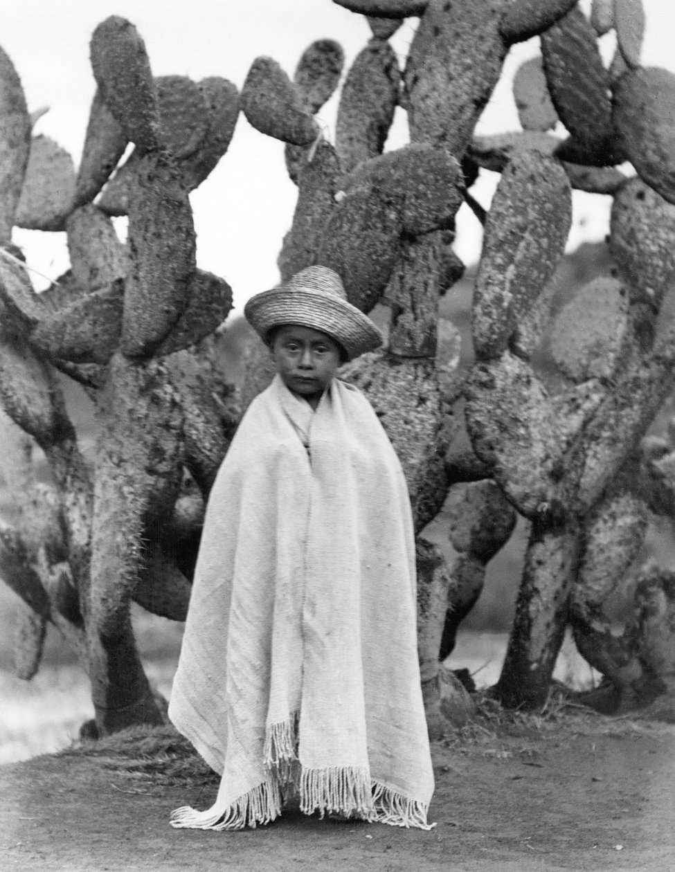 Chlapec před kaktusem, stát Veracruz, Mexiko, 1927 (černobílá fotografie) od Tina Modotti