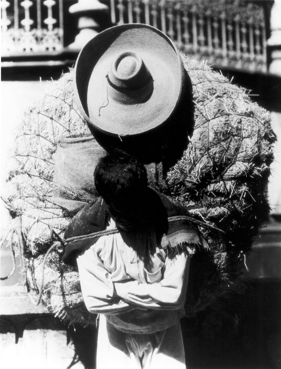 Campesino, stát Veracruz, Mexiko, 1927 od Tina Modotti