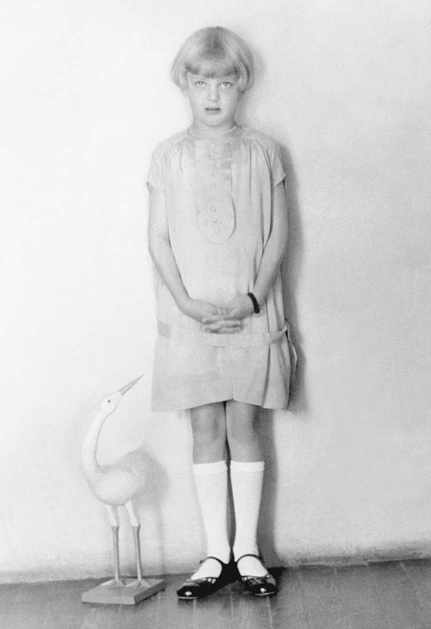 Dívka s čápem, Mexico City, asi 1926 od Tina Modotti