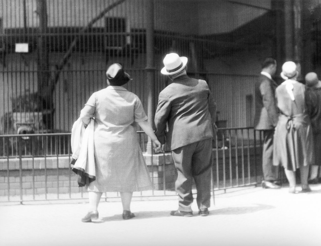 V zoologické zahradě, Berlín, Německo, 1930 od Tina Modotti