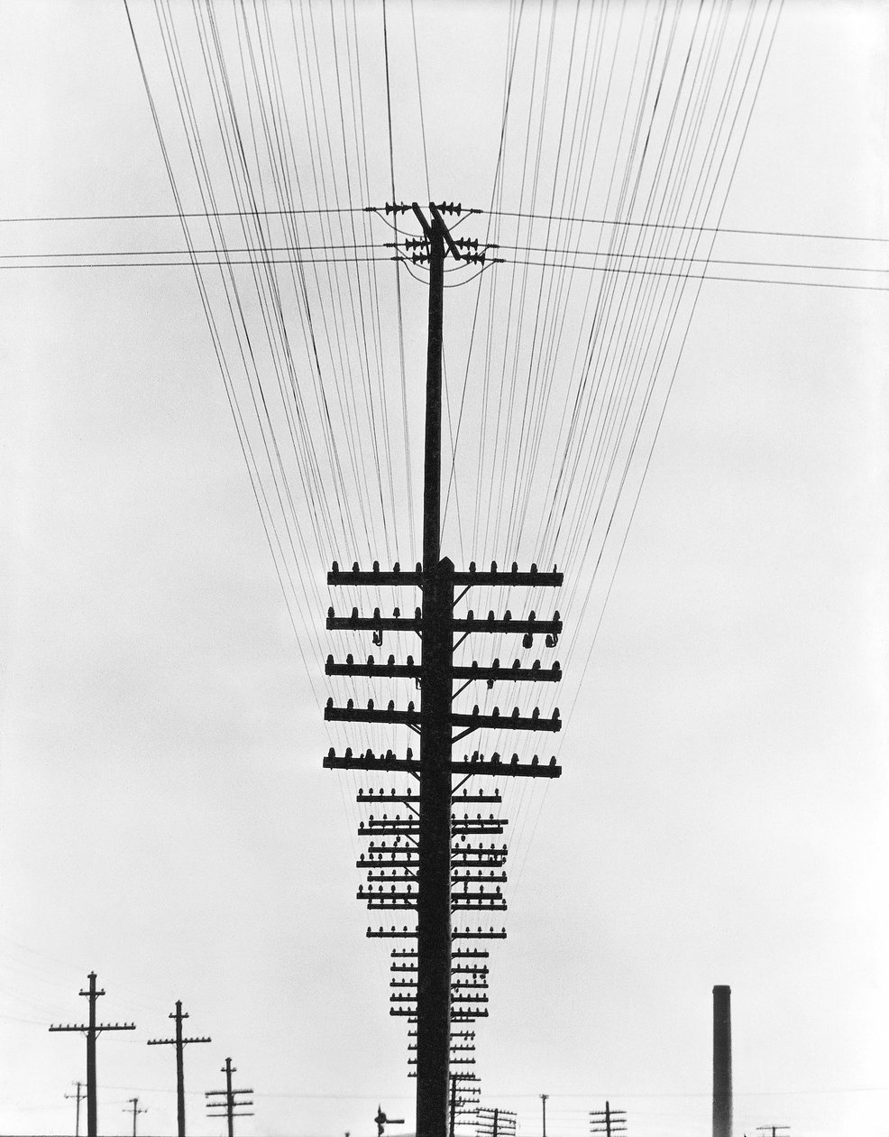 Telegraph Wires, Mexiko, 1925 od Tina Modotti