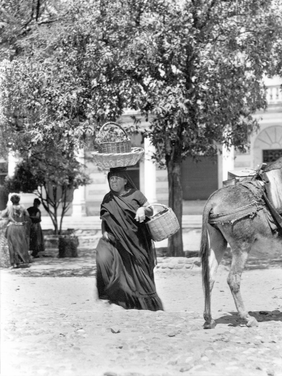 Žena v Tehuantepec, Mexiko, 1929 od Tina Modotti