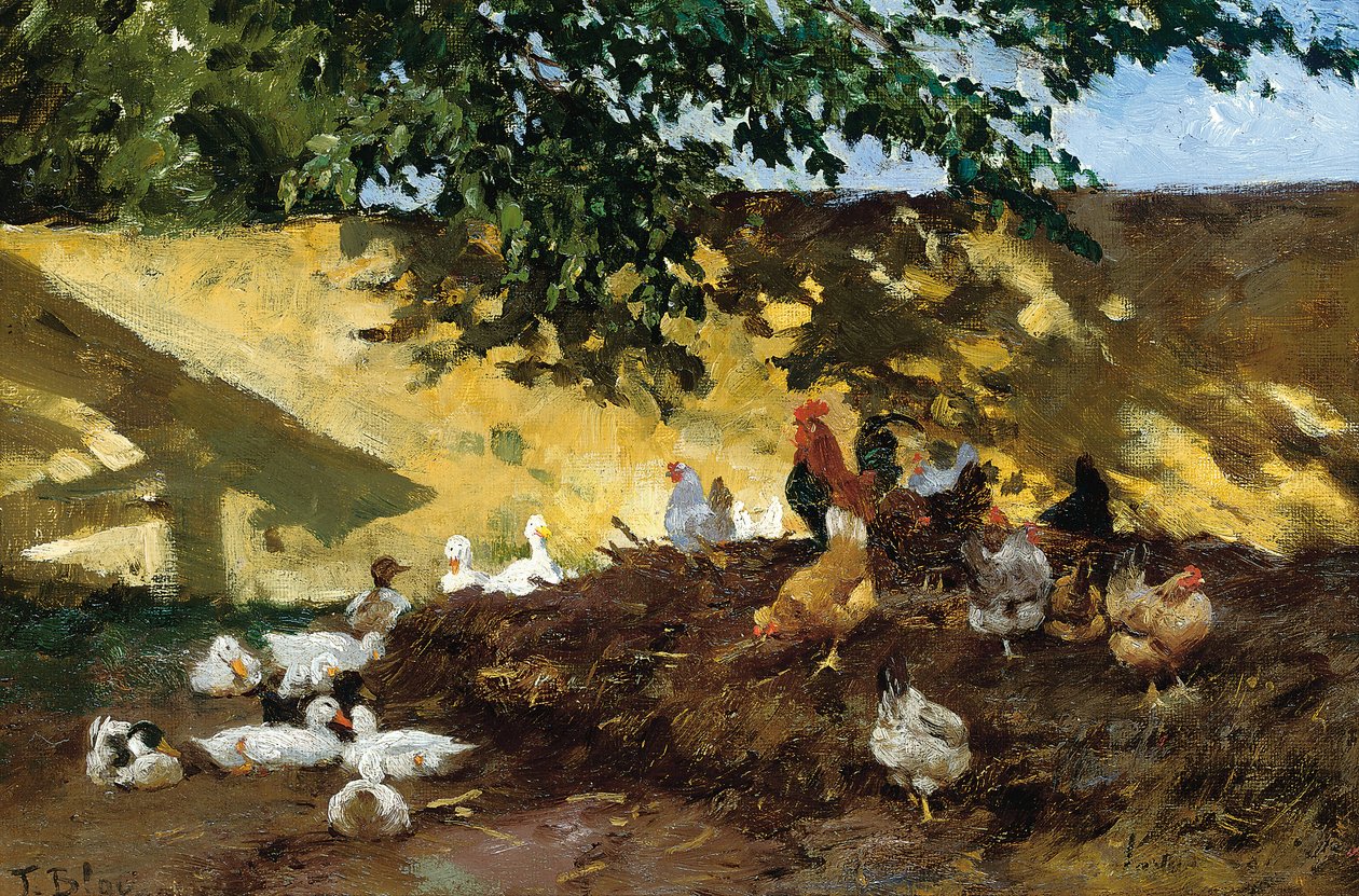 Kachny a kuřata na farmě od Tina Blau Lang