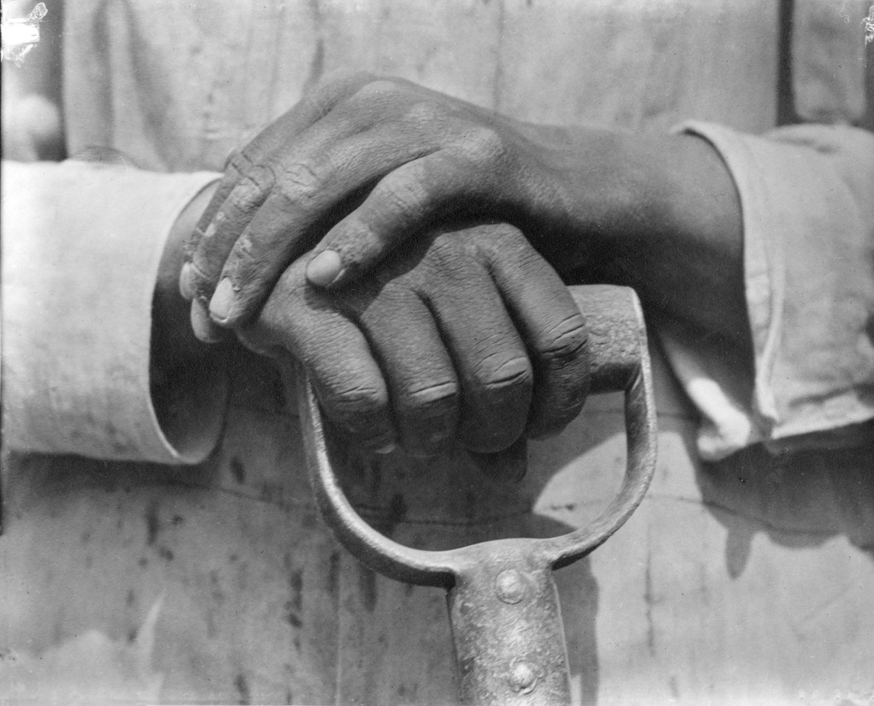 Ruce stavebního dělníka, Mexiko, 1926 od Tina Modotti