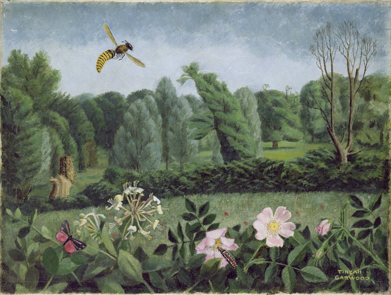 Sršeň a divoká růže od Tirzah Ravilious