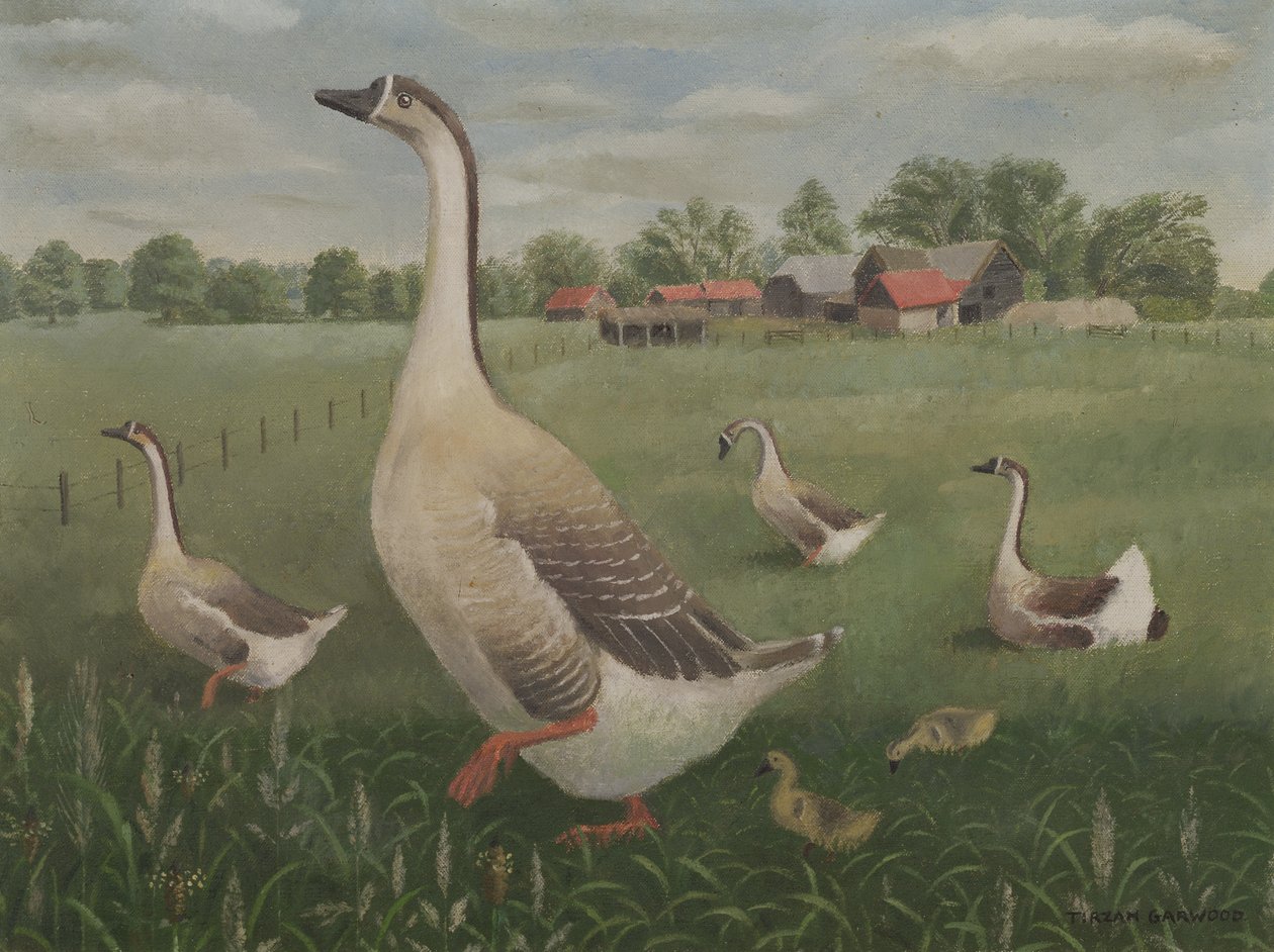 Chřadne budeš bloudit? od Tirzah Ravilious