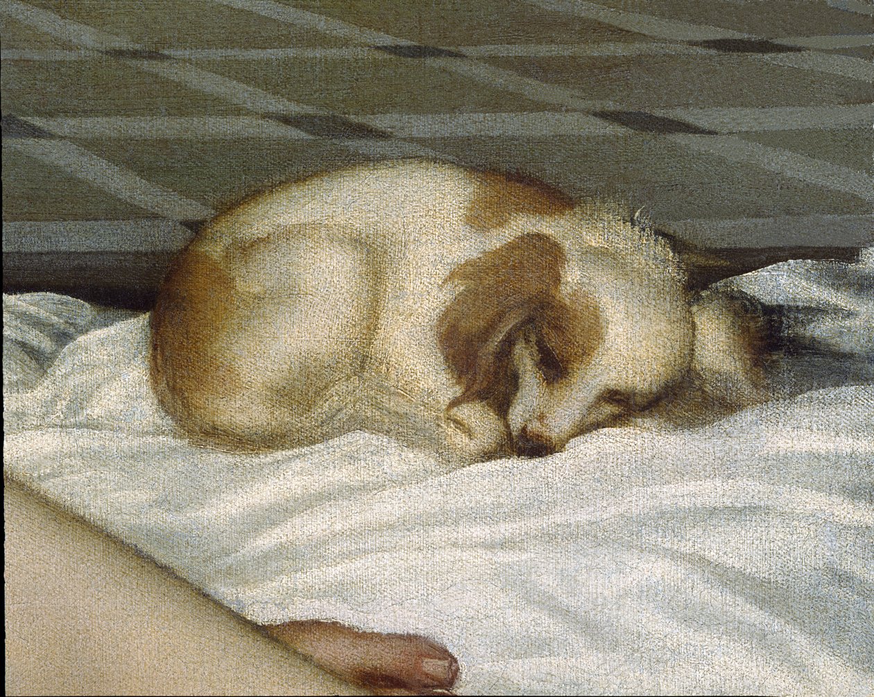 Venuše z Urbina, před rokem 1538 detail olej na plátně z roku 291644 od Tiziano Vecelli