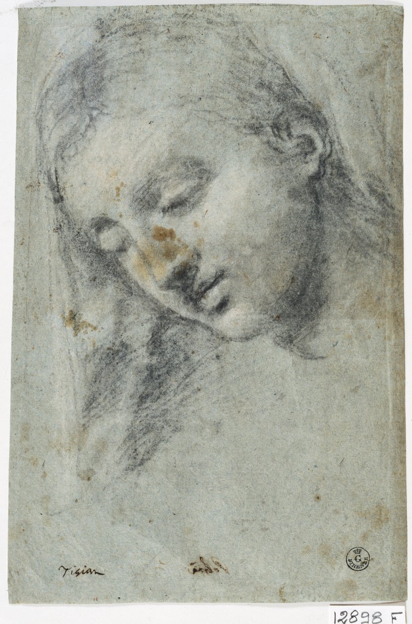 Hlava ženy (uhel na papíře) od Titian (c.1488 1576)