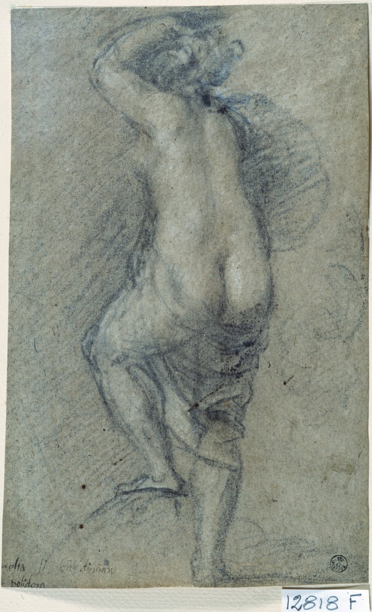 Akt ženy (křída na papíře) od Titian (c.1488 1576)