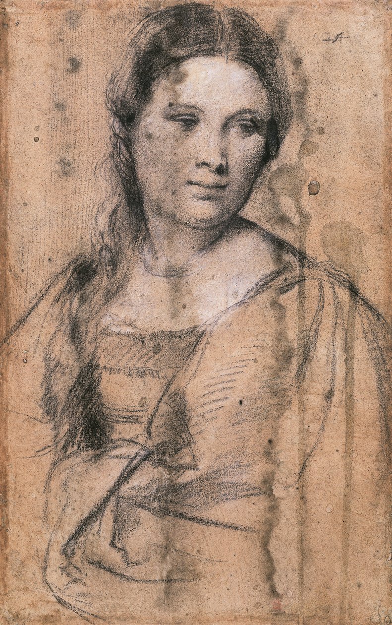 Portrét mladé dívky od Tiziana (cca 1490-1576), kresba od Titian (c.1488 1576)