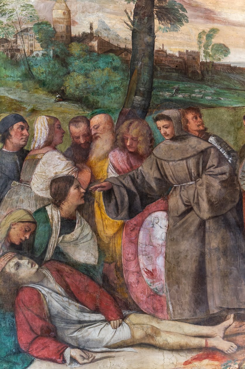 Svatý Antonín znovu připojuje nohu k mladému muži, škola svatého, detail 2197268 (freska) od Titian (c.1488 1576)