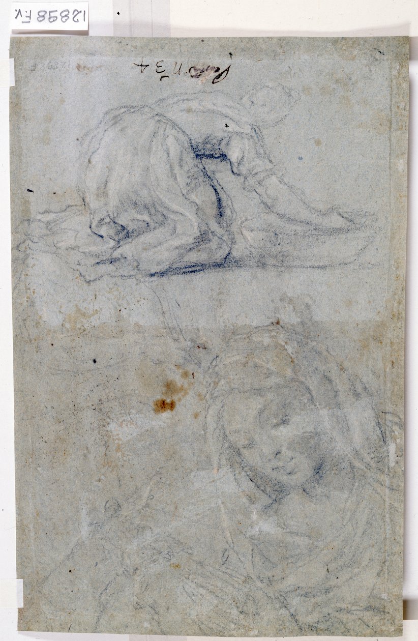 Studie Panny Marie (uhel na papíře) od Titian (c.1488 1576)