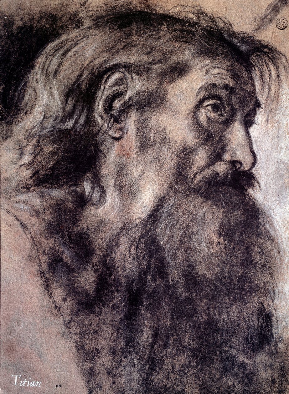 Hlava starého muže Kresba Tiziana Vecellia zvaného Tizian (1485-1576) Paříž 16. století, muzeum Louvre od Titian (c.1488 1576)