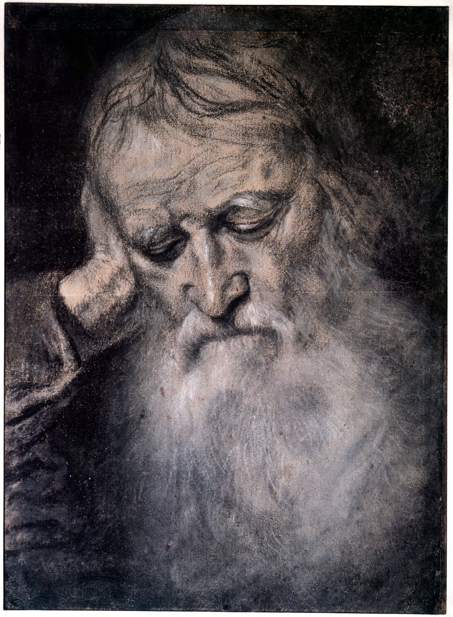 Hlava starého muže Kresba Tiziana Vecellia zvaného Tizian (1485-1576) Paříž 16. století, muzeum Louvre od Tiziano Vecelli