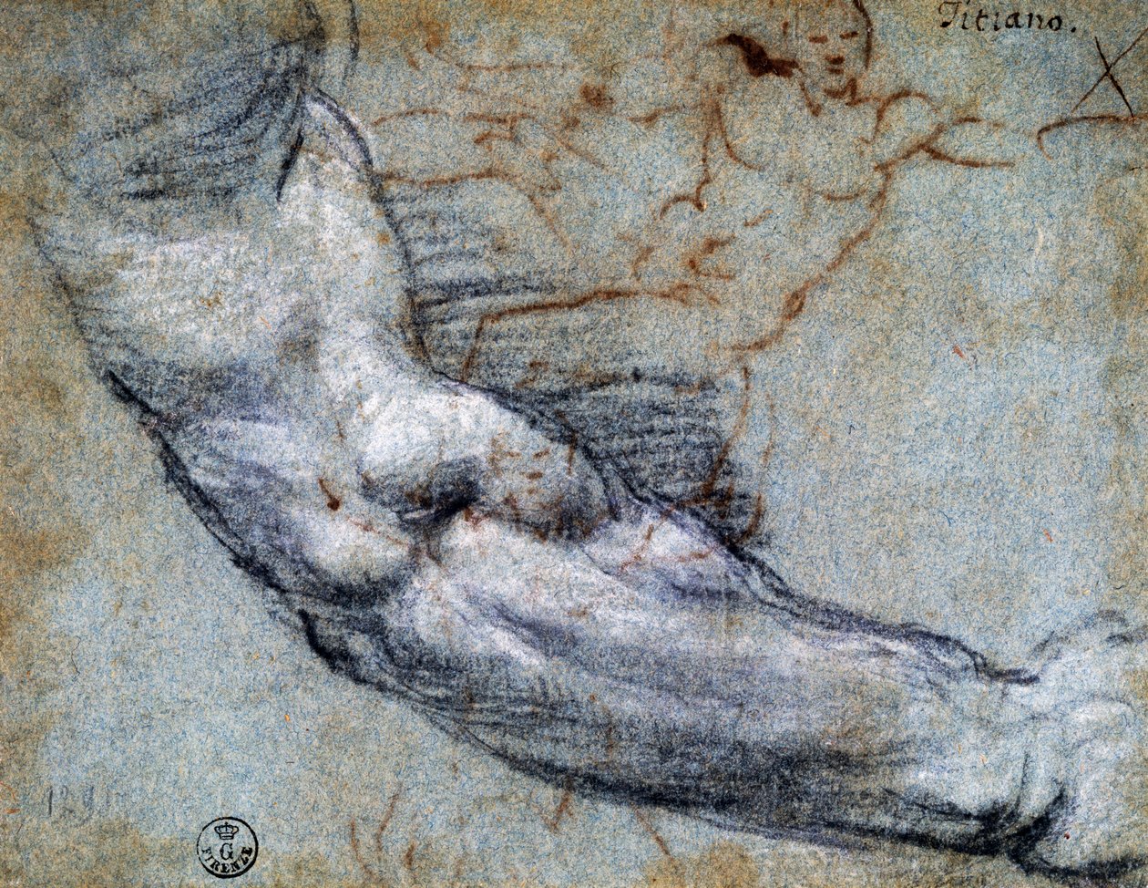 Studie paže, od Tiziana (asi 1488-1576), kresba od Titian (c.1488 1576)